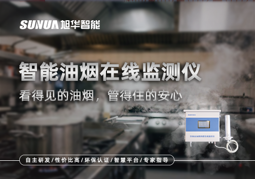 智能油烟在线监测仪：看得见的油烟，管得住的安心